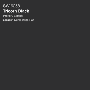 Tricorn black paint color