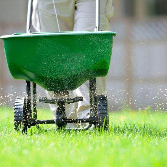 Lawn being fertilized