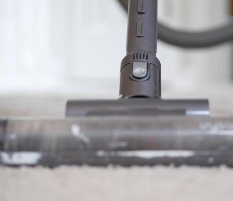 Move Out Cleans
