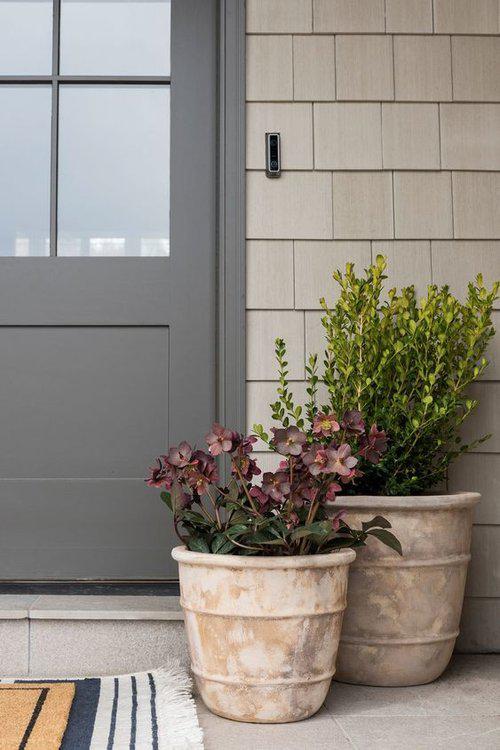 Potted plants next to a front door