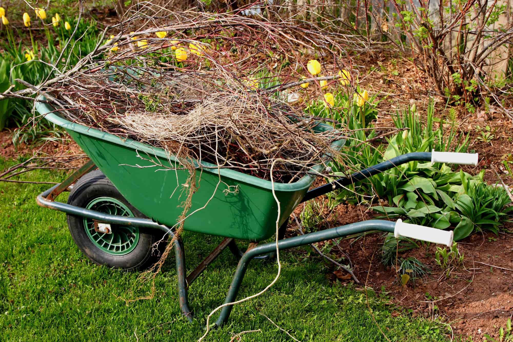 Wheel barrow filled with sticks
