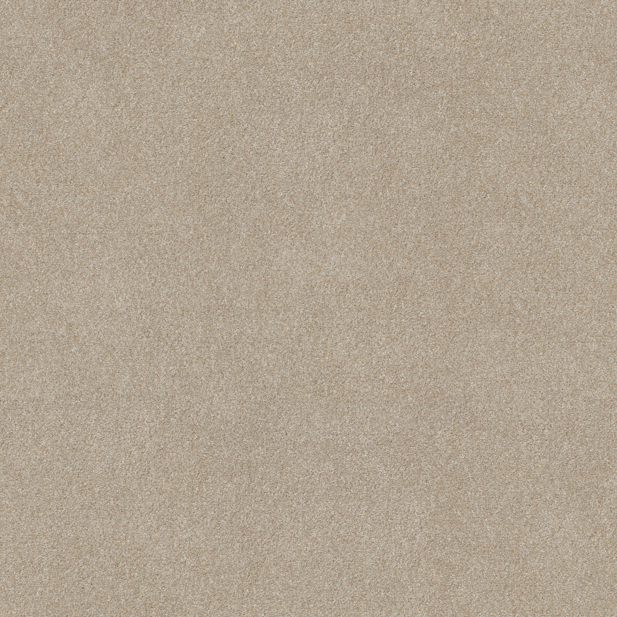 Practical Beige