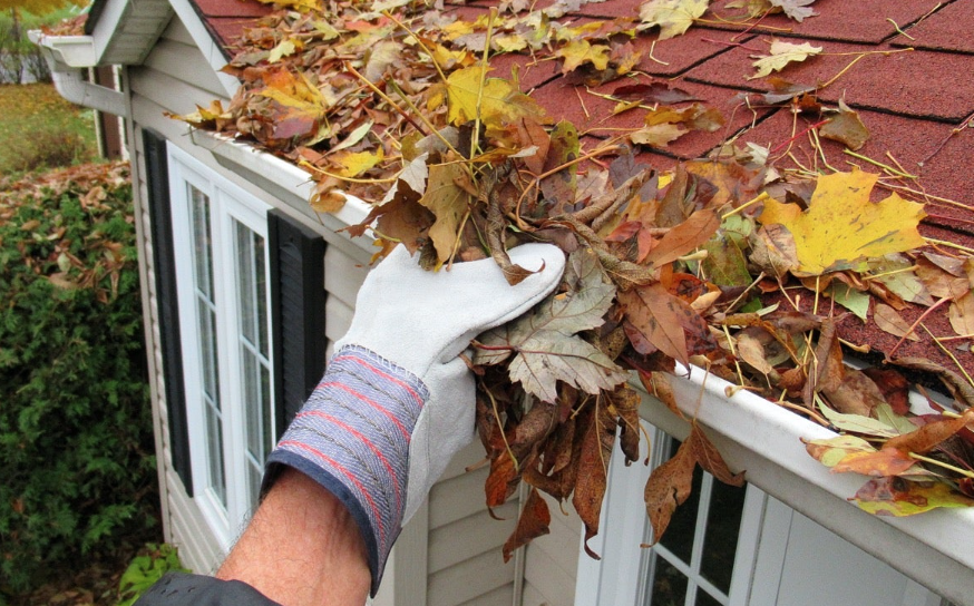 Person cleaning leaves out of a gutter
