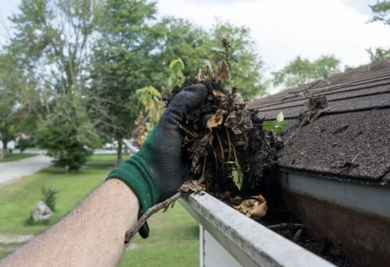 Person cleaning leaves out of gutter