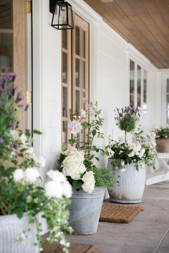 Plants in pots outside home