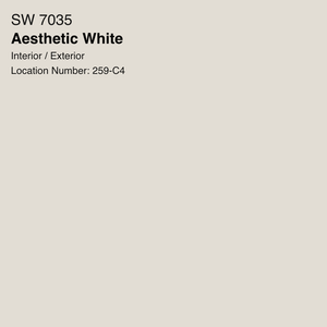 Aesthetic white paint color