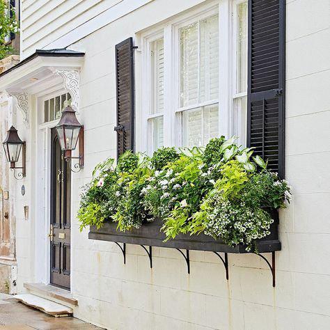 Window box with plants underneath a window