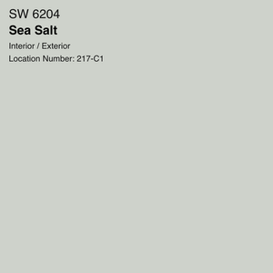 Sea salt paint color